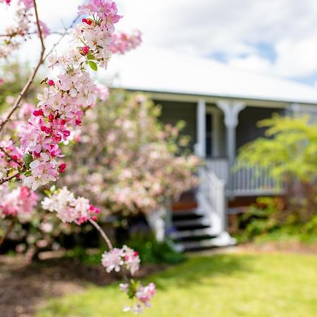 Apple Blossom Cottages Stanthorpe Buitenkant foto
