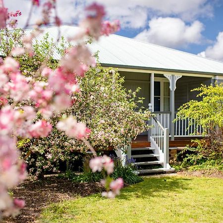 Apple Blossom Cottages Stanthorpe Buitenkant foto