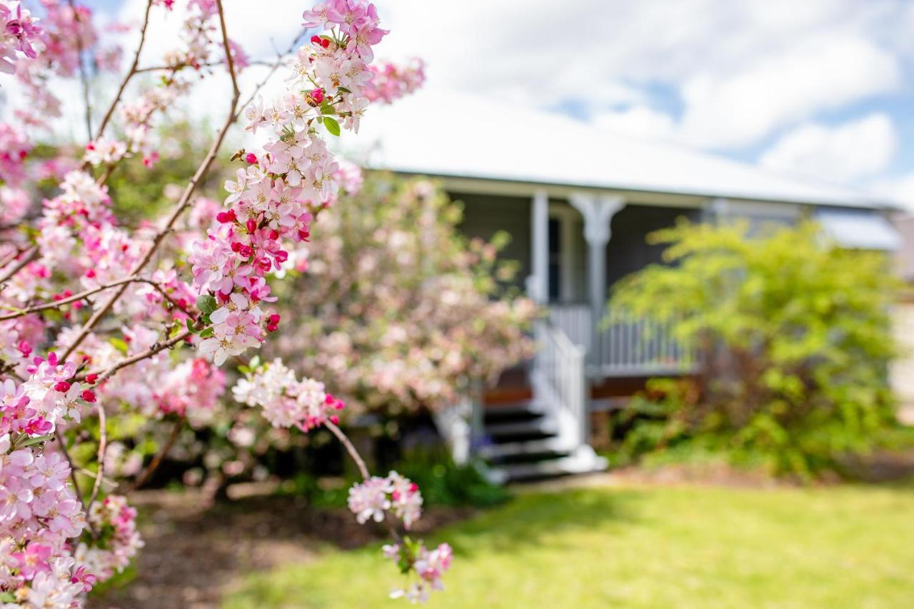 Apple Blossom Cottages Stanthorpe Buitenkant foto
