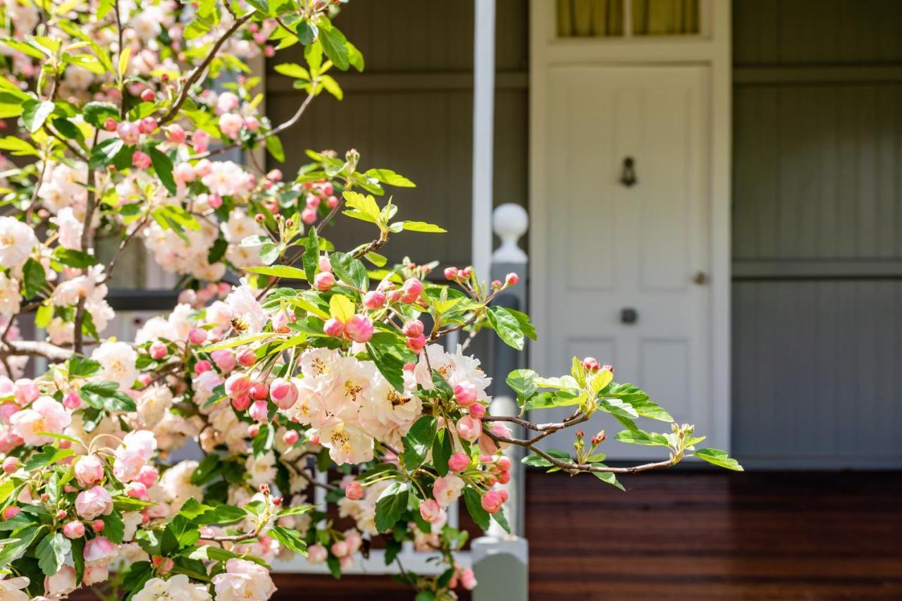 Apple Blossom Cottages Stanthorpe Buitenkant foto