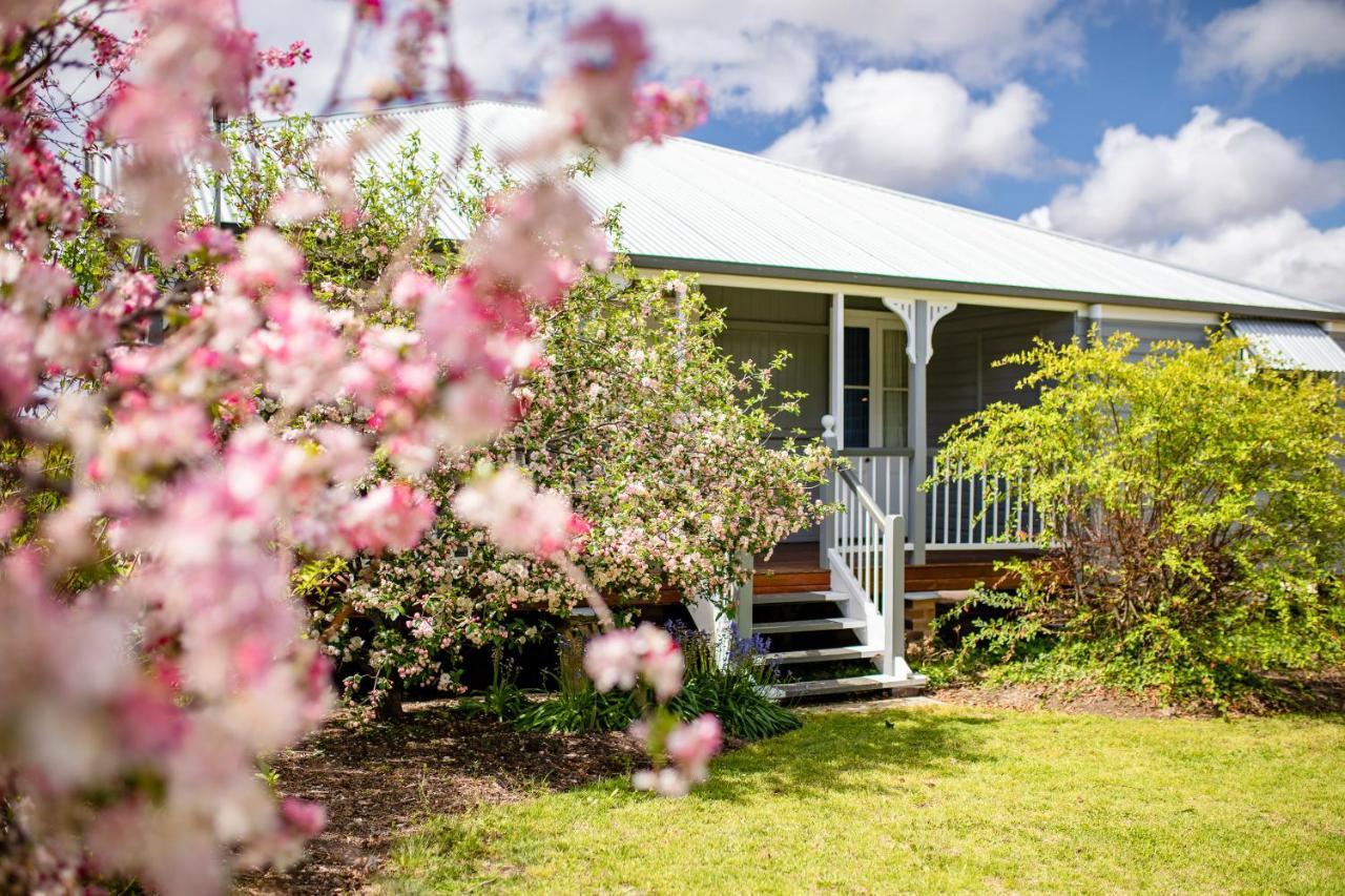 Apple Blossom Cottages Stanthorpe Buitenkant foto