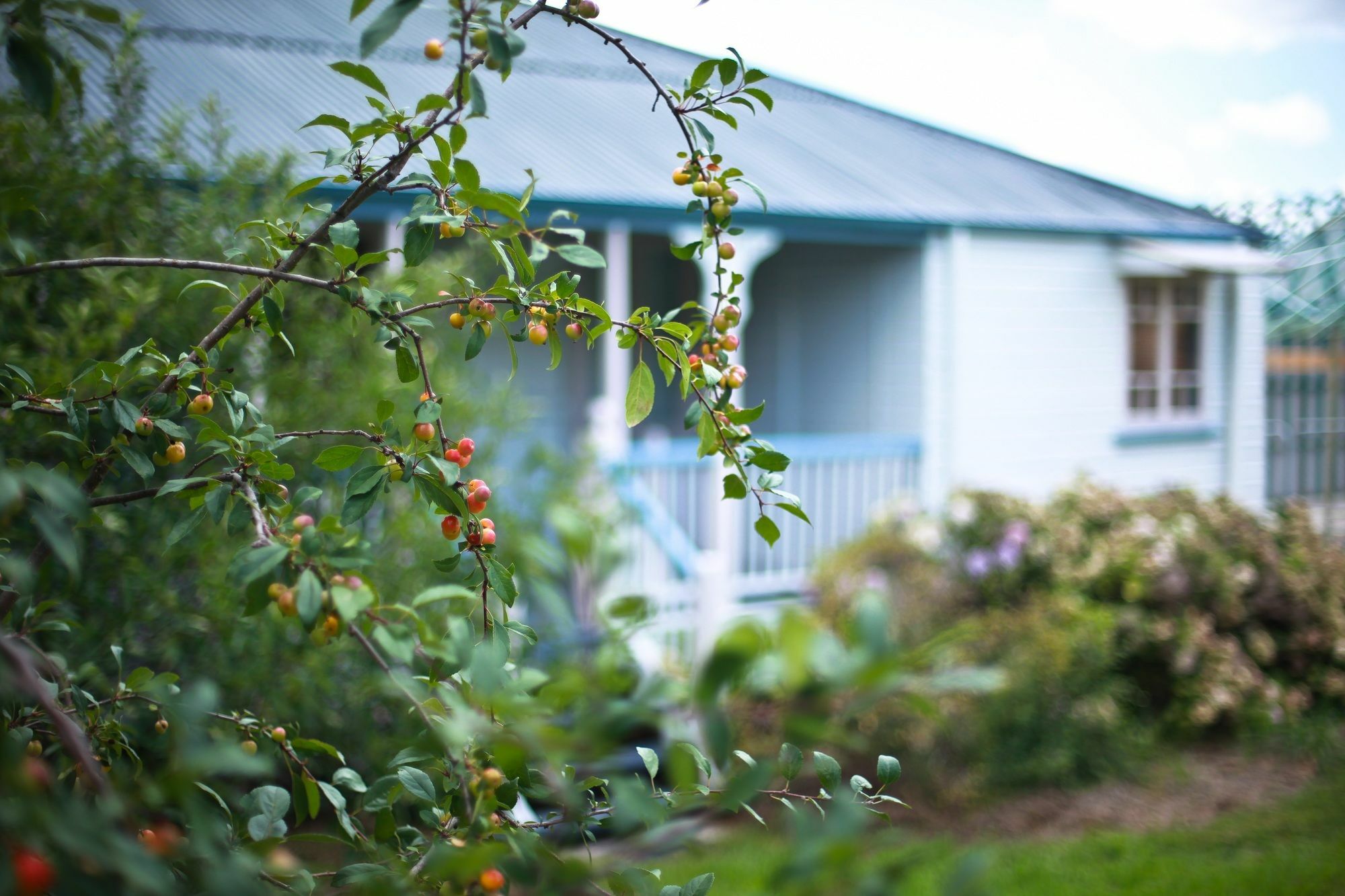 Apple Blossom Cottages Stanthorpe Buitenkant foto